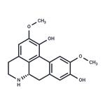 Norisoboldine