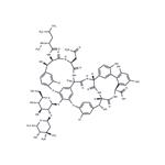 Vancomycin