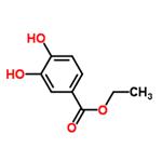 Ethyl 3,4-dihydroxybenzoate pictures