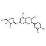 Catechin 7-apioside