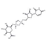 UDP-g acid