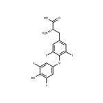 L-Thyroxine pictures