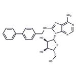 CNT2 inhibitor-1