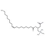 Oleoylcarnitine