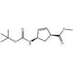 (1S,4R)-Methyl 4-((tert-butoxycarbonyl)amino)cyclopent-2-enecarboxylate