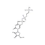 Citicoline