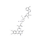 Flavin adenine dinucleotide disodium salt