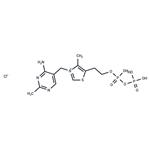 Thiamine pyrophosphate