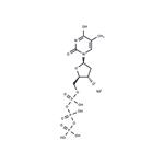 Deoxythymidine triphosphate