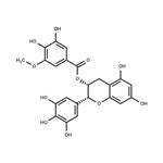 (-)-Epigallocatechin-3-(3''-O-methyl) gallate