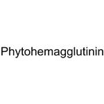 Phytohemagglutinin