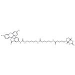 Fluorescein Biotin