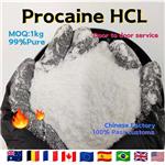 Procaine hydrochloride