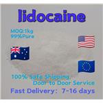 137-58-6 lidocaine