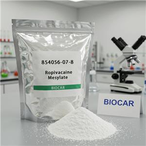 Ropivacaine Mesylate