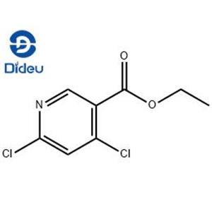 Ethyl 4,6-dichloronicotinate