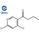 Ethyl 4,6-dichloronicotinate