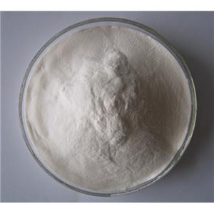 Hydrolyzed Sponge