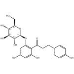 Phlorizin