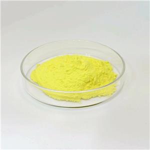 Coenzyme Q10