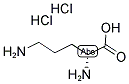 D-ORNITHINE DIHYDROCHLORIDE Struktur