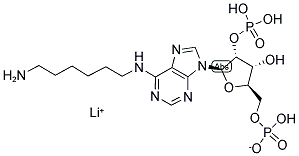 N6-(6-氨基己基)腺苷 2′,5′-二磷酸 鋰鹽, 55914-62-0, 結構式