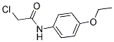 2-CHLORO-N-(4-ETHOXYPHENYL)ACETAMIDE Struktur