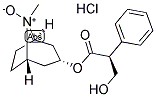 HYOSCYAMINE N-OXIDE HYDROCHLORIDE Struktur