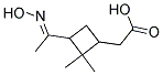 PINONIC ACID OXIME Struktur