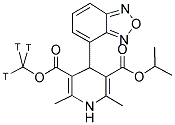 (+)-[METHYL-3H]PN 200-110 Struktur