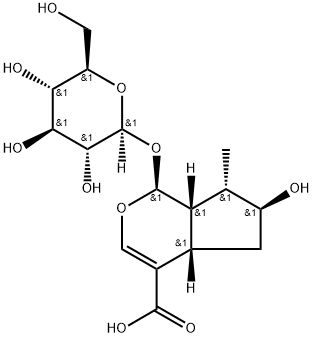 8-EPILOGANIC ACID