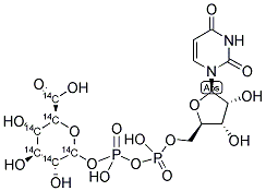 URIDINE DIPHOSPHATE GLUCURONIC ACID, [GLUCURONYL-U-14C] Struktur