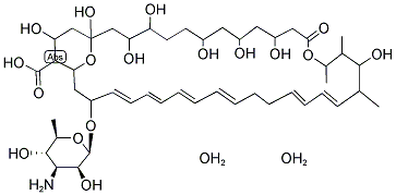 NYSTATIN DIHYDRATE Struktur