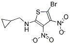 N2-CYCLOPROPYLMETHYL-5-BROMO-3,4-DINITROTHIOPHEN-2-AMINE Struktur