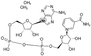 BETA-NAD DIHYDRATE