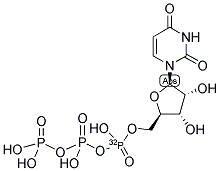 URIDINE 5'-TRIPHOSPHATE, [ALPHA-32P]- Struktur