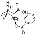 BENZOYLNORECGONINE Struktur