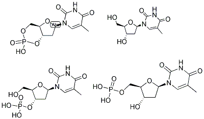 THYMIDINE 3':5'-CYCLIC MONOPHOSPHATE Struktur