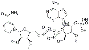 BETA-NICOTINAMIDE ADENINE DINUCLEOTIDE PHOSPHATE RESIN Struktur