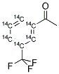 3'-TRIFLUOROMETHYL ACETOPHENONE [RING-14C(U)] Struktur