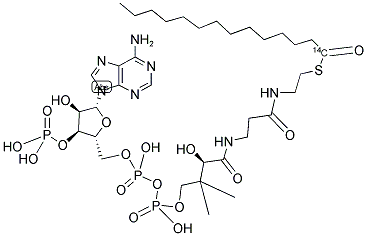 MYRISTOYL COENZYME A, [MYRISTOYL 1-14C] Struktur