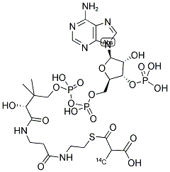 METHYLMALONYL COENZYME A, DL-2, [METHYL-14C] Struktur