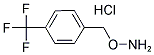 1-[(AMMONIOOXY)METHYL]-4-(TRIFLUOROMETHYL)BENZENE CHLORIDE Struktur