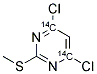 4,6-DICHLORO-2-METHYLTHIO-PYRIMIDINE, [4,6-14C] Struktur