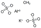 ALUM Struktur