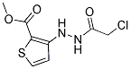 METHYL 3-[2-(2-CHLOROACETYL)HYDRAZINO]THIOPHENE-2-CARBOXYLATE Struktur