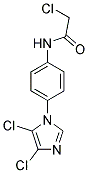 N1-[4-(4,5-DICHLORO-1H-IMIDAZOL-1-YL)PHENYL]-2-CHLOROACETAMIDE Struktur