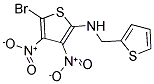 N2-(2-THIENYLMETHYL)-5-BROMO-3,4-DINITROTHIOPHEN-2-AMINE Struktur