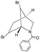 (6,7-DIBROMO-2-AZABICYCLO[2.2.1]HEPT-2-YL)(PHENYL)METHANONE Struktur