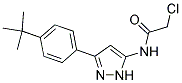 N1-(3-[4-(TERT-BUTYL)PHENYL]-1H-PYRAZOL-5-YL)-2-CHLOROACETAMIDE Struktur